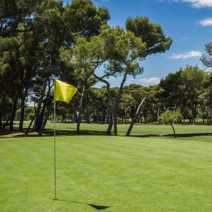 campo-de-golf-castellon